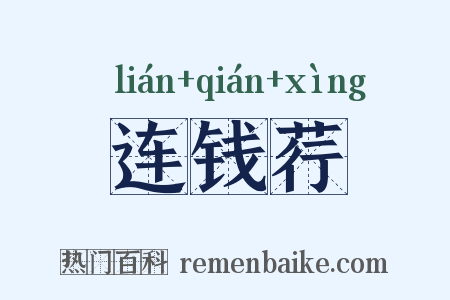 连钱荇是什么意思的图片
